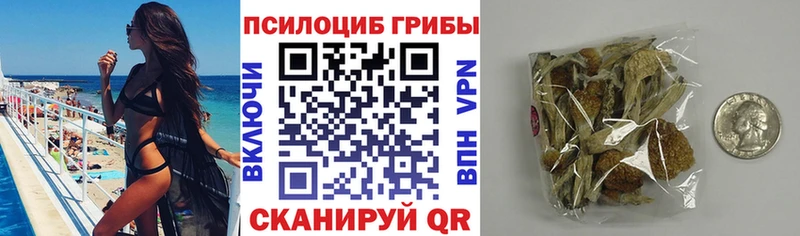 Псилоцибиновые грибы мухоморы продажа наркотиков Белебей